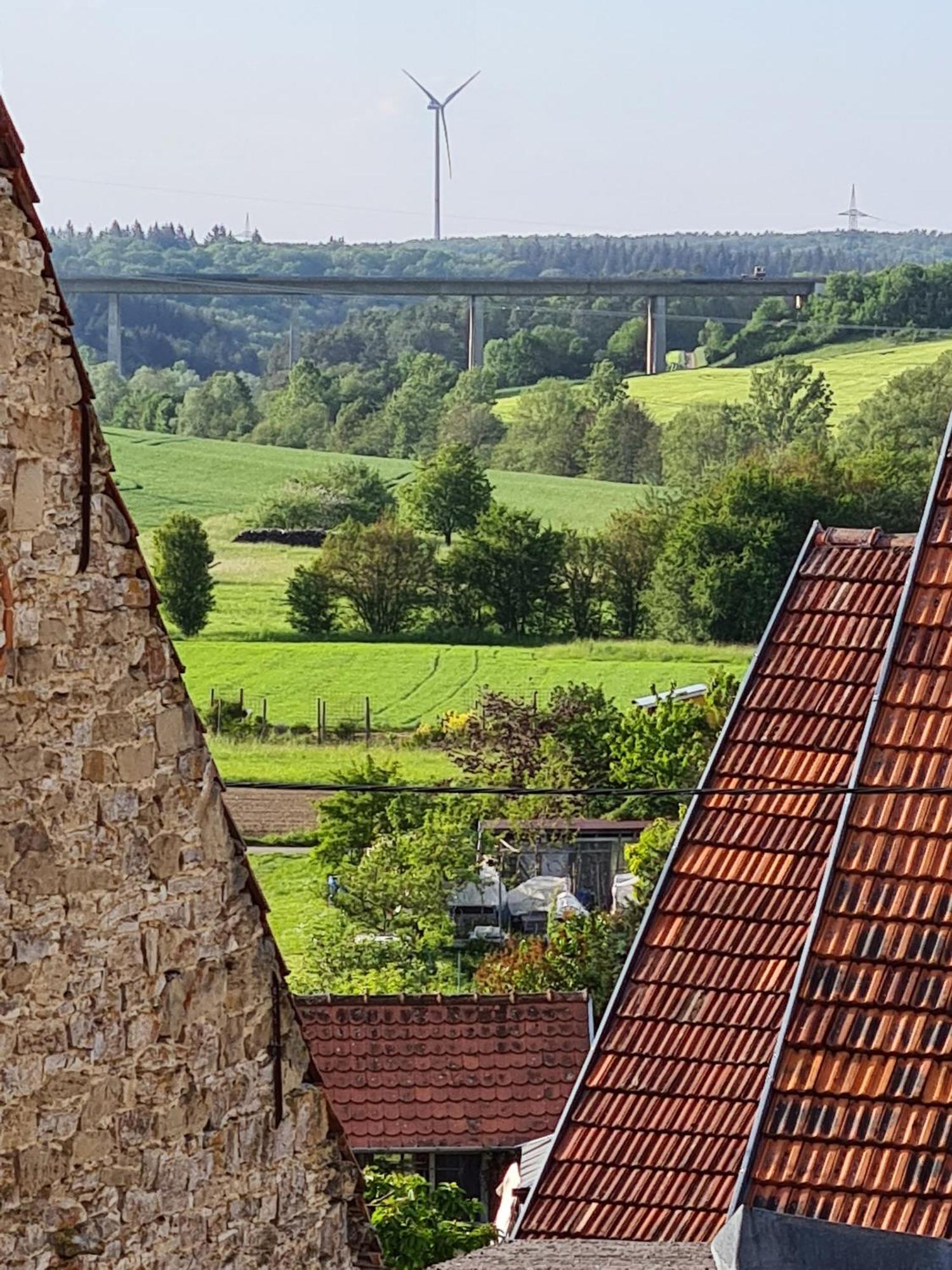 Ferienwohnung Pflueger Mit Terrasse Lauda-Königshofen Buitenkant foto
