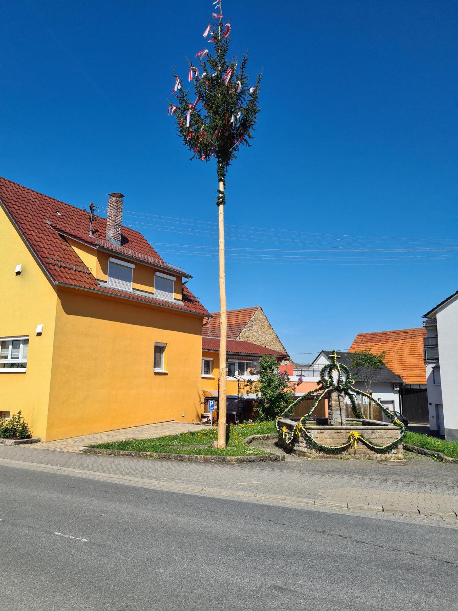 Ferienwohnung Pflueger Mit Terrasse Lauda-Königshofen Buitenkant foto